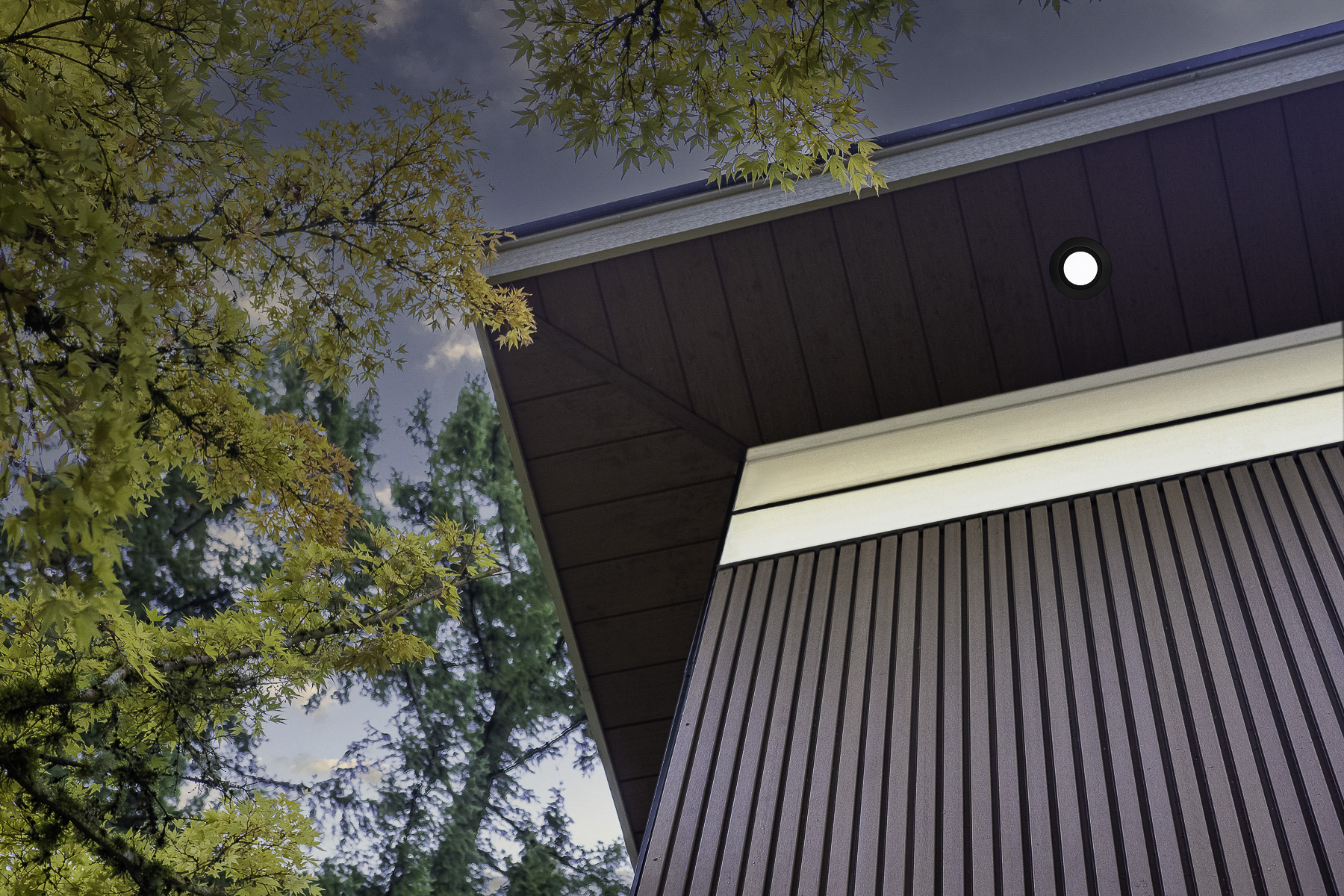 Composite siding replacement project with clean trim details